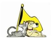 Town & Country Animal Hospital Logo